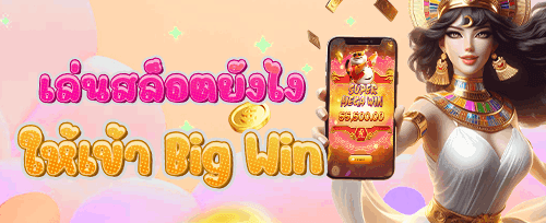 คืนยอดเสียรายสัปดาห์ VIP promotion